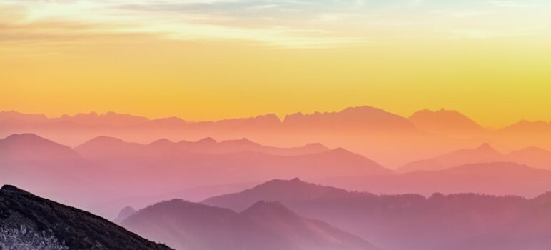 Smilelove Reviews: The Key to a Confident Smile